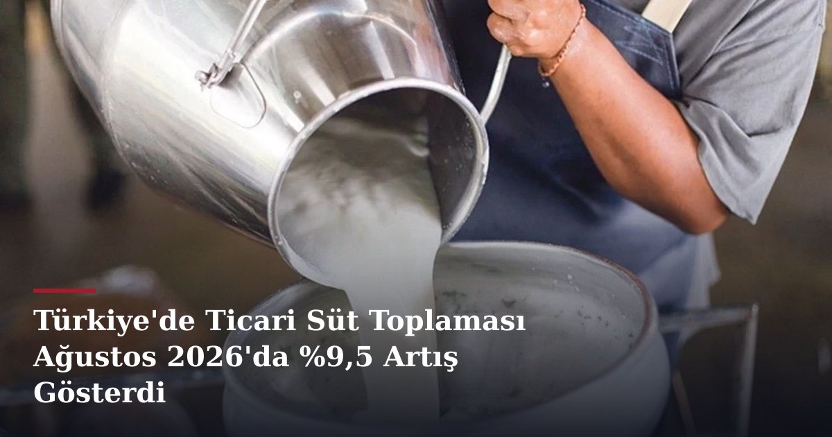 Türkiye'de Ticari Süt Toplaması Ağustos 2026'da %9,5 Artış Gösterdi
