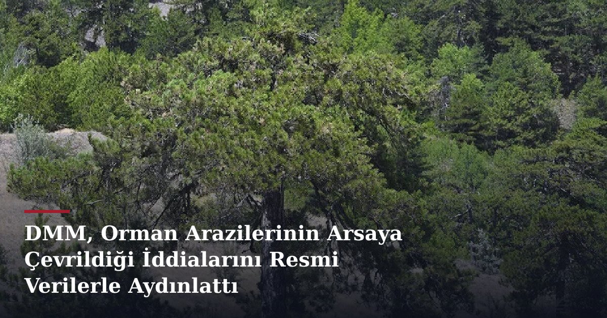 DMM, Orman Arazilerinin Arsaya Çevrildiği İddialarını Resmi Verilerle Aydınlattı