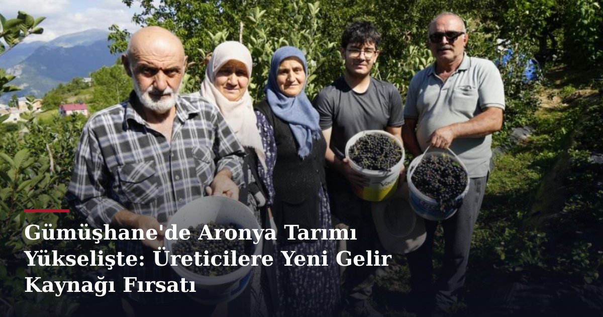 Gümüşhane'de Aronya Tarımı Yükselişte: Üreticilere Yeni Gelir Kaynağı Fırsatı