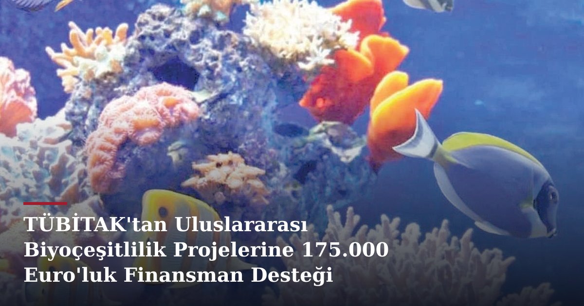 TÜBİTAK'tan Uluslararası Biyoçeşitlilik Projelerine 175.000 Euro'luk Finansman Desteği