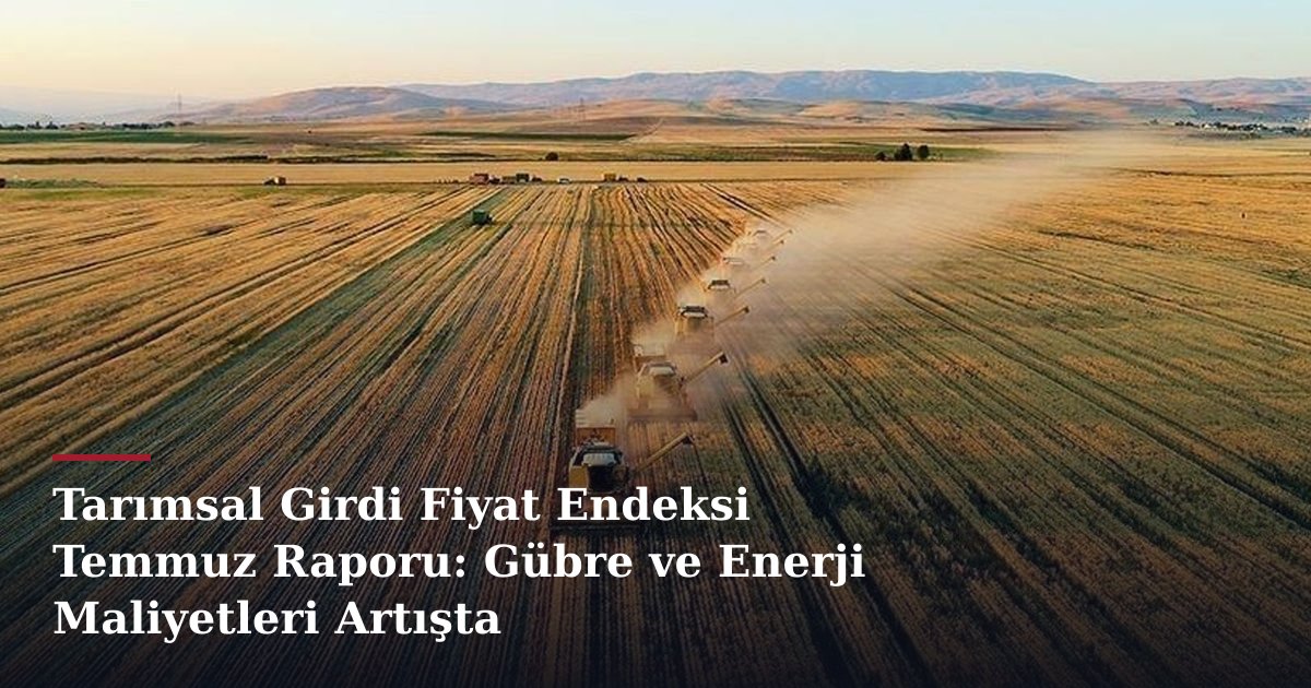 Tarımsal Girdi Fiyat Endeksi Temmuz Raporu: Gübre ve Enerji Maliyetleri Artışta