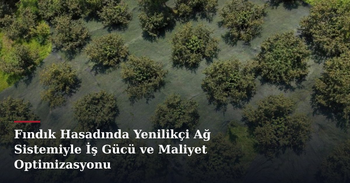 Fındık Hasadında Yenilikçi Ağ Sistemiyle İş Gücü ve Maliyet Optimizasyonu