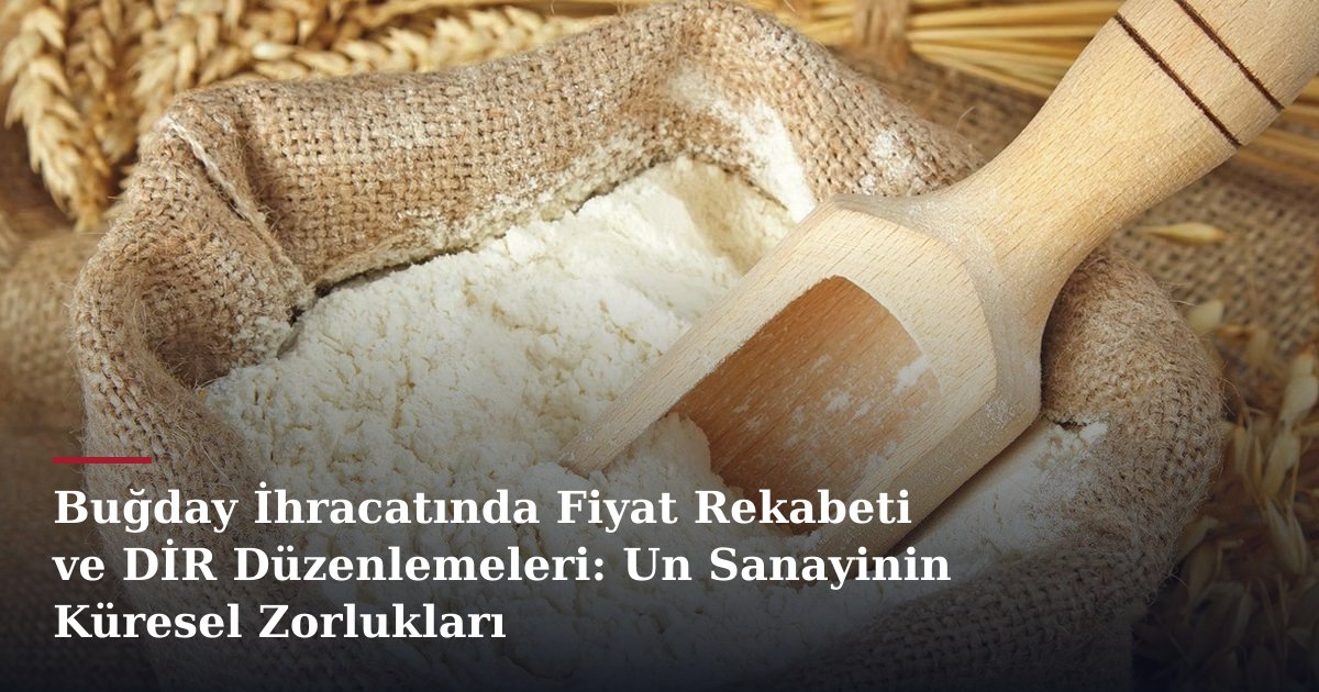 Buğday İhracatında Fiyat Rekabeti ve DİR Düzenlemeleri: Un Sanayinin Küresel Zorlukları
