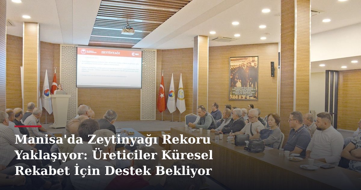 Manisa'da Zeytinyağı Rekoru Yaklaşıyor: Üreticiler Küresel Rekabet İçin Destek Bekliyor