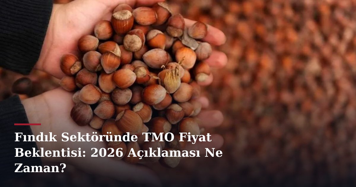 Fındık Sektöründe TMO Fiyat Beklentisi: 2026 Açıklaması Ne Zaman?