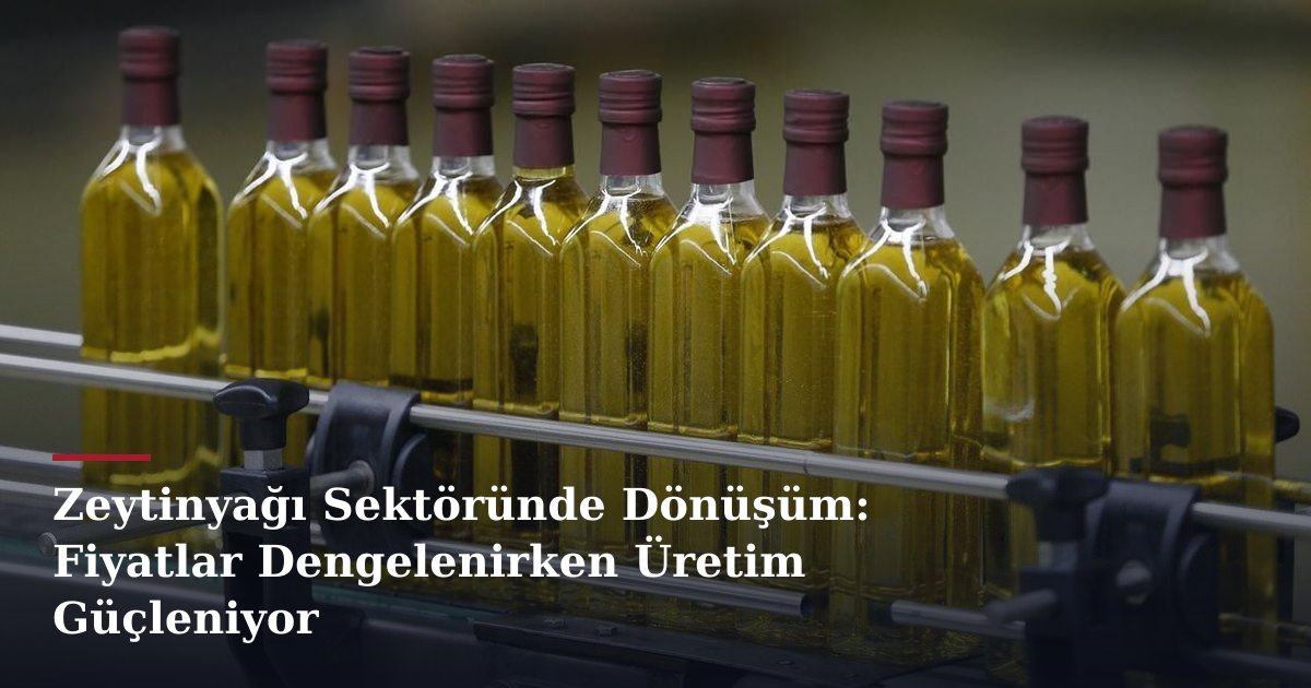 Zeytinyağı Sektöründe Dönüşüm: Fiyatlar Dengelenirken Üretim Güçleniyor