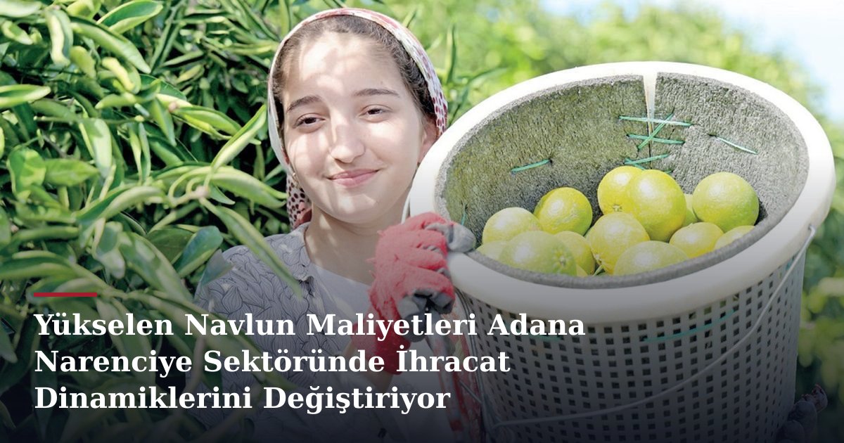 Yükselen Navlun Maliyetleri Adana Narenciye Sektöründe İhracat Dinamiklerini Değiştiriyor