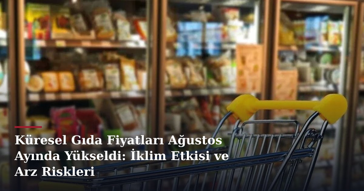 Küresel Gıda Fiyatları Ağustos Ayında Yükseldi: İklim Etkisi ve Arz Riskleri