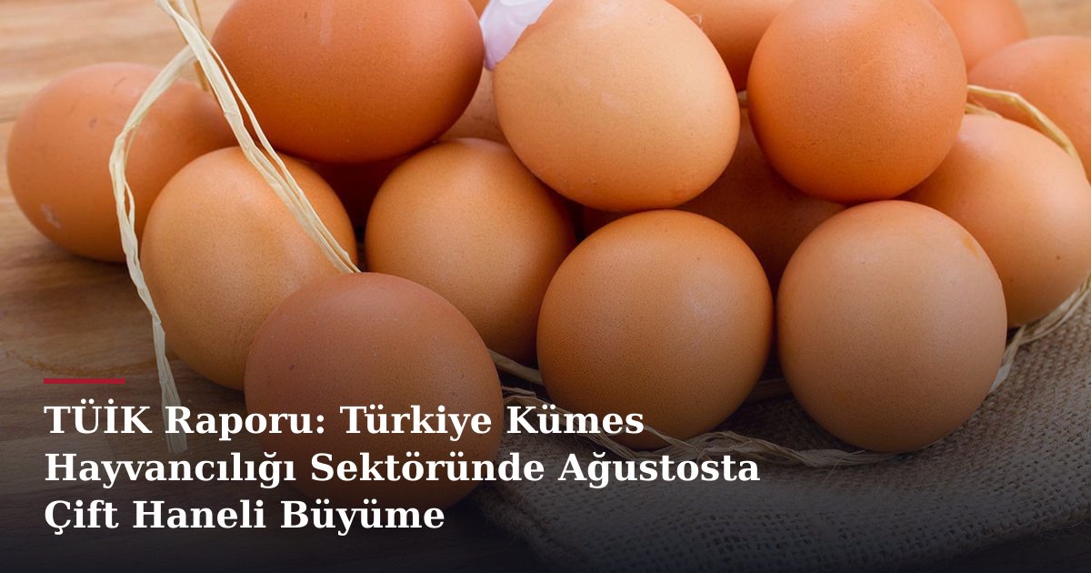 TÜİK Raporu: Türkiye Kümes Hayvancılığı Sektöründe Ağustosta Çift Haneli Büyüme