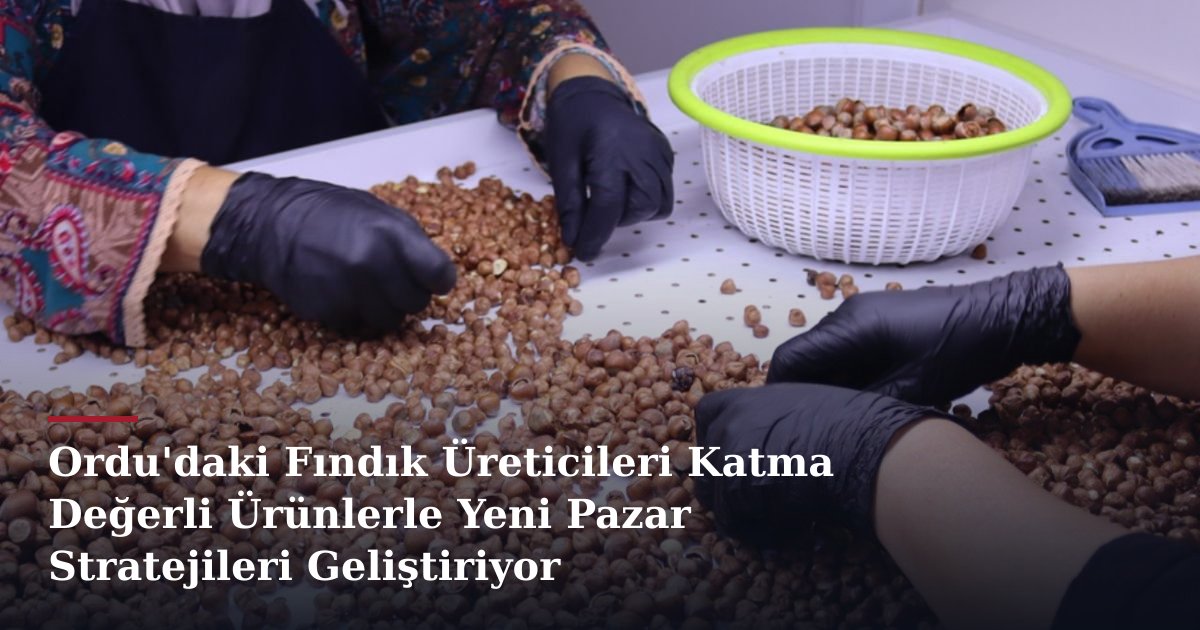 Ordu'daki Fındık Üreticileri Katma Değerli Ürünlerle Yeni Pazar Stratejileri Geliştiriyor