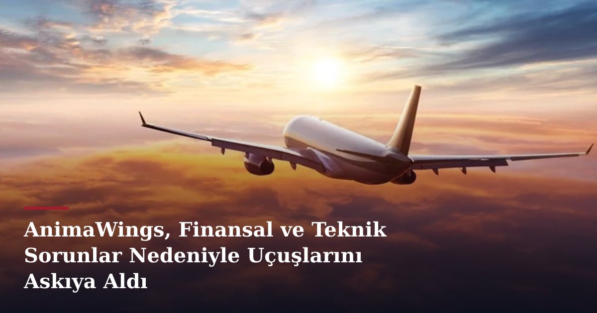 AnimaWings, Finansal ve Teknik Sorunlar Nedeniyle Uçuşlarını Askıya Aldı