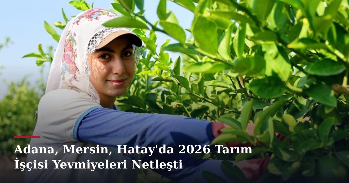Adana, Mersin, Hatay'da 2026 Tarım İşçisi Yevmiyeleri Netleşti