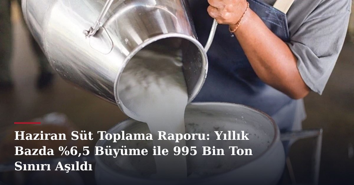 Haziran Süt Toplama Raporu: Yıllık Bazda %6,5 Büyüme ile 995 Bin Ton Sınırı Aşıldı