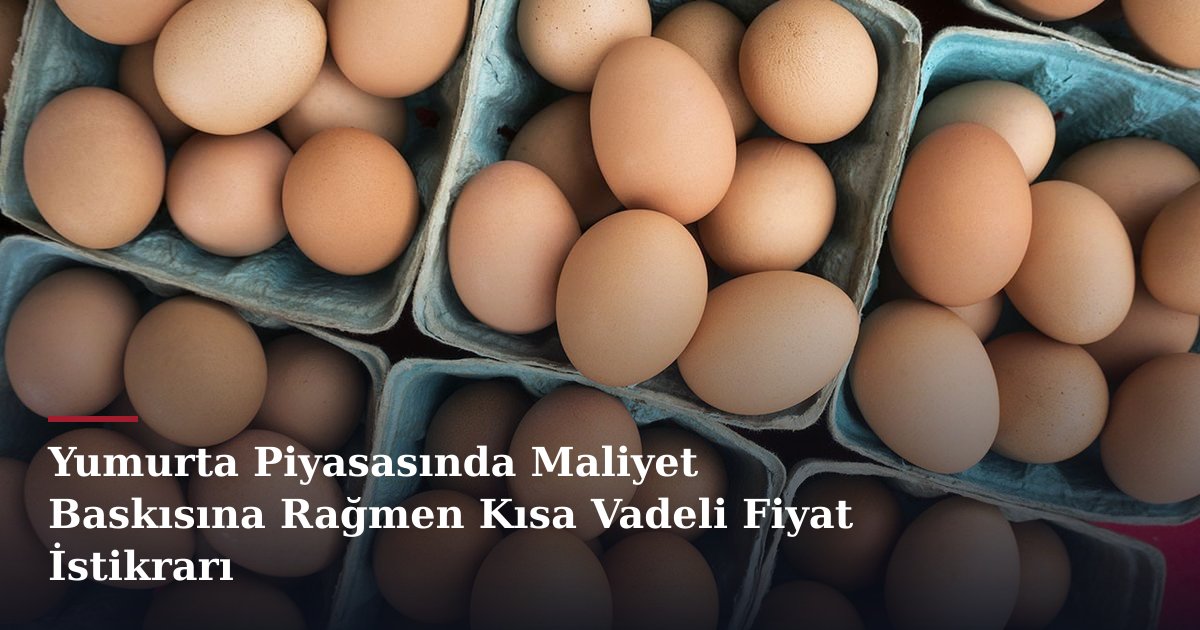 Yumurta Piyasasında Maliyet Baskısına Rağmen Kısa Vadeli Fiyat İstikrarı