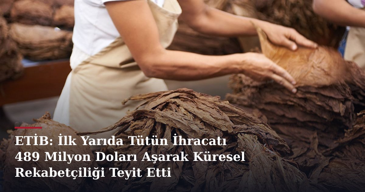 ETİB: İlk Yarıda Tütün İhracatı 489 Milyon Doları Aşarak Küresel Rekabetçiliği Teyit Etti