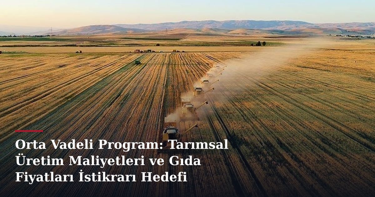 Orta Vadeli Program: Tarımsal Üretim Maliyetleri ve Gıda Fiyatları İstikrarı Hedefi