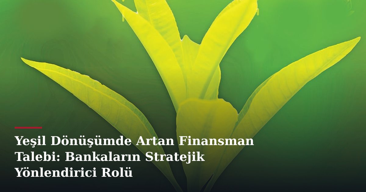 Yeşil Dönüşümde Artan Finansman Talebi: Bankaların Stratejik Yönlendirici Rolü
