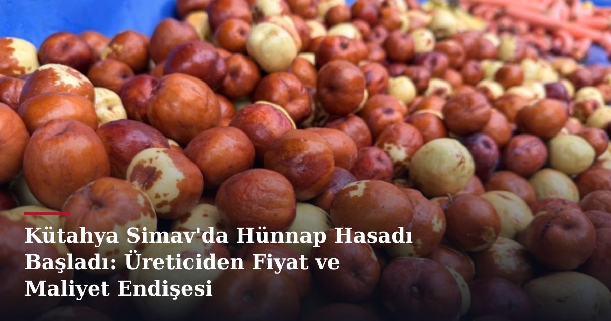 Kütahya Simav'da Hünnap Hasadı Başladı: Üreticiden Fiyat ve Maliyet Endişesi