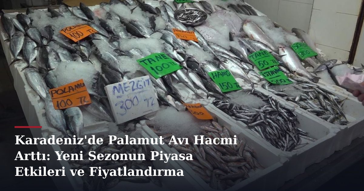 Karadeniz'de Palamut Avı Hacmi Arttı: Yeni Sezonun Piyasa Etkileri ve Fiyatlandırma