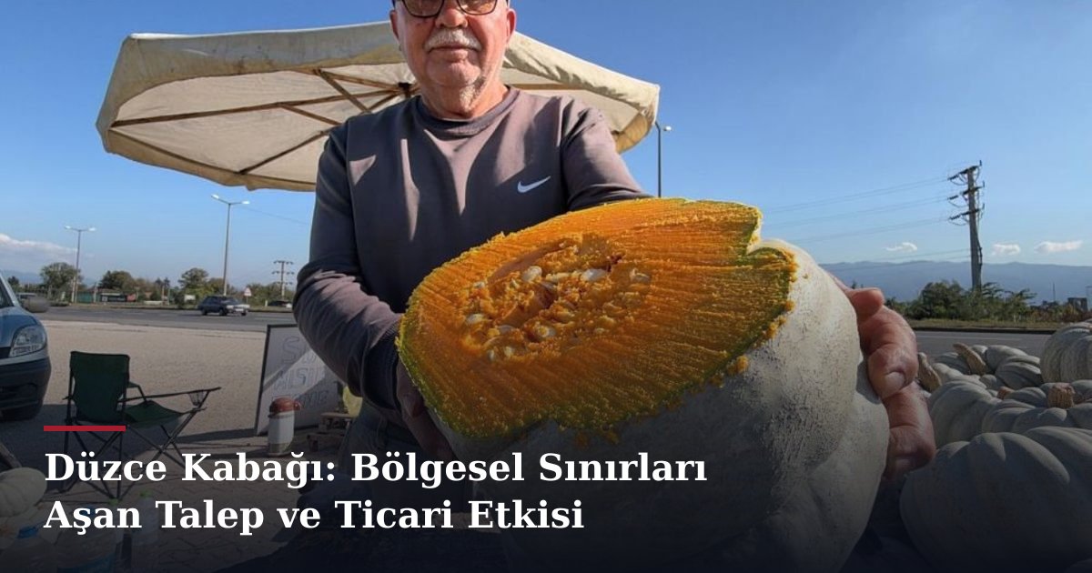 Düzce Kabağı: Bölgesel Sınırları Aşan Talep ve Ticari Etkisi