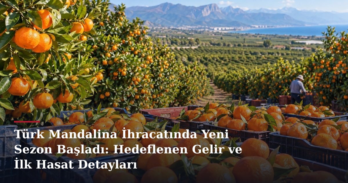 Türk Mandalina İhracatında Yeni Sezon Başladı: Hedeflenen Gelir ve İlk Hasat Detayları