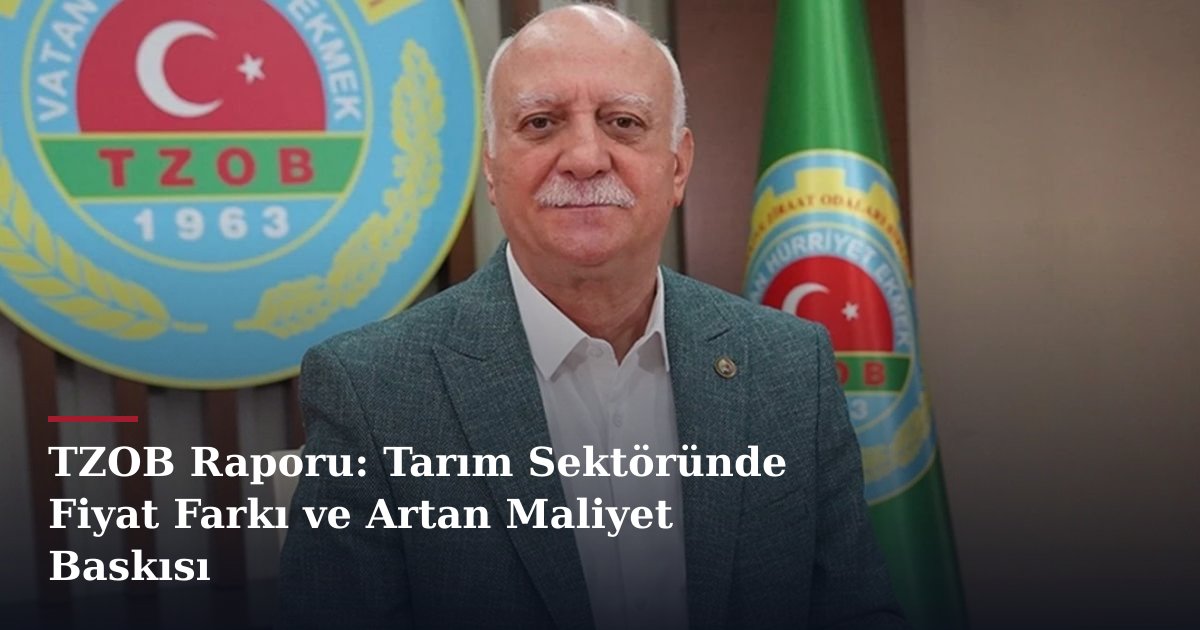 TZOB Raporu: Tarım Sektöründe Fiyat Farkı ve Artan Maliyet Baskısı
