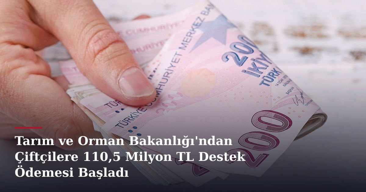 Tarım ve Orman Bakanlığı'ndan Çiftçilere 110,5 Milyon TL Destek Ödemesi Başladı