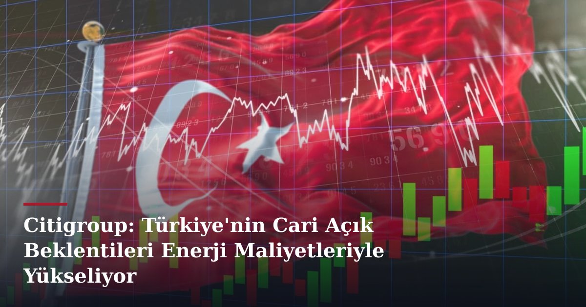 Citigroup: Türkiye'nin Cari Açık Beklentileri Enerji Maliyetleriyle Yükseliyor