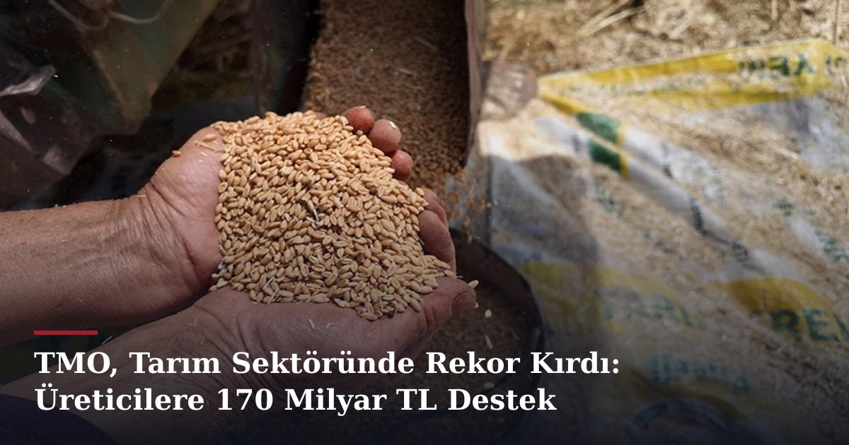 TMO, Tarım Sektöründe Rekor Kırdı: Üreticilere 170 Milyar TL Destek