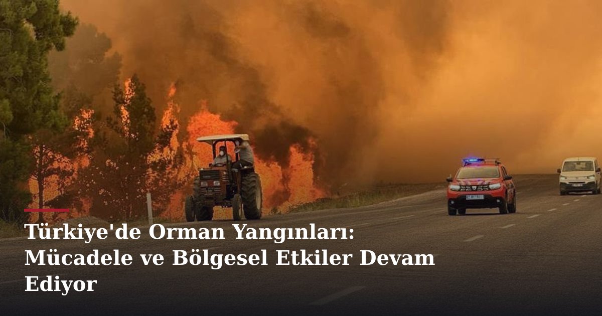 Türkiye'de Orman Yangınları: Mücadele ve Bölgesel Etkiler Devam Ediyor