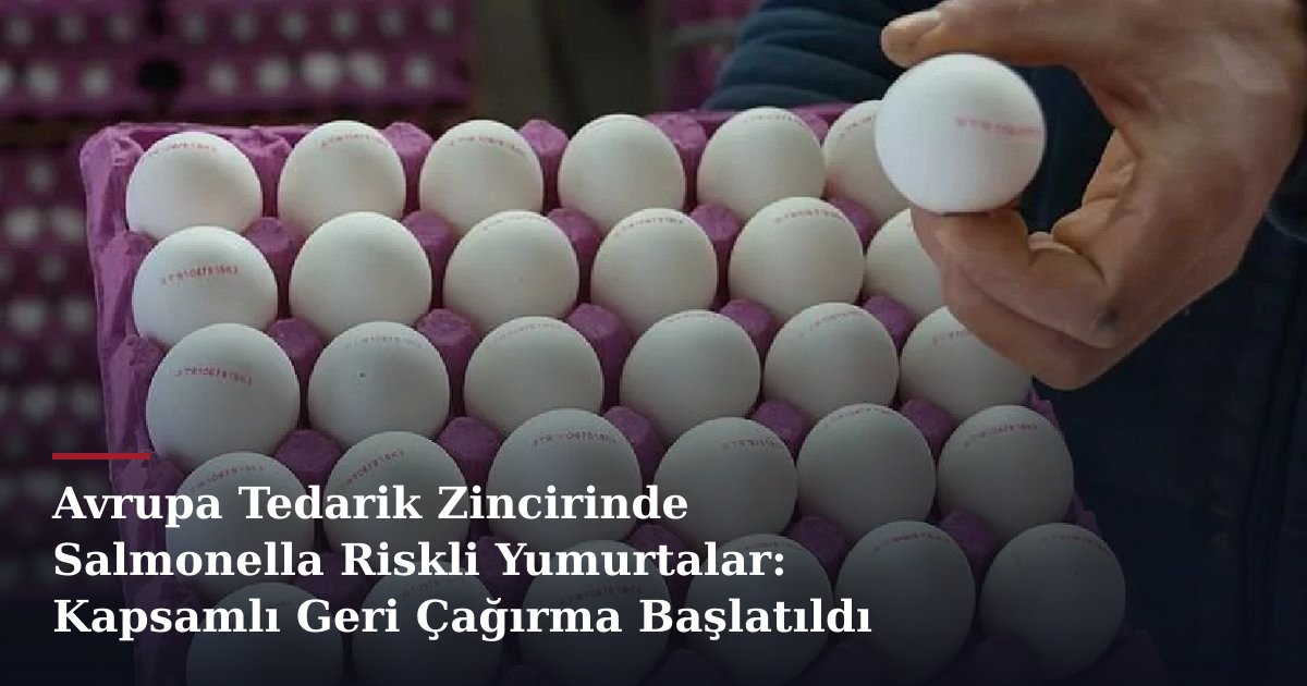 Avrupa Tedarik Zincirinde Salmonella Riskli Yumurtalar: Kapsamlı Geri Çağırma Başlatıldı