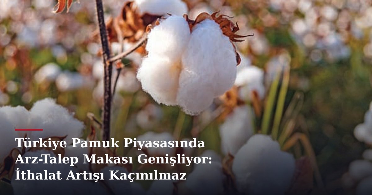 Türkiye Pamuk Piyasasında Arz-Talep Makası Genişliyor: İthalat Artışı Kaçınılmaz